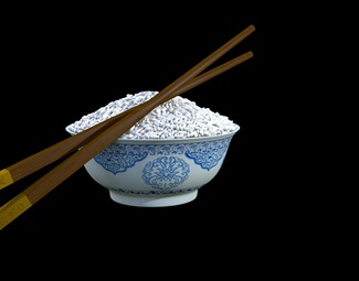 新中式 碗 一碗米饭