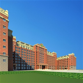 欧式 办公楼 综合办公楼