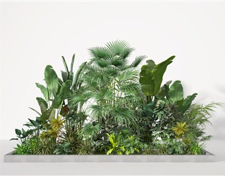 现代绿化植物植物