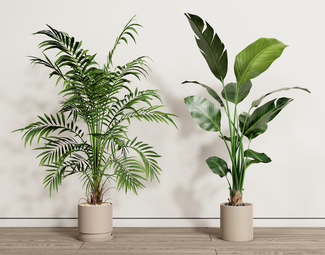 现代家居植物盆栽绿植盆景