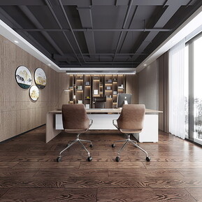 现代 办公室 办公室全景