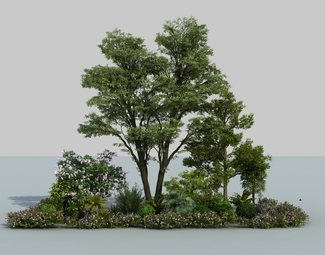 现代 植物 植物景观组团
